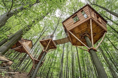 Create Unforgettable Memories at Mavic Treehouse 1